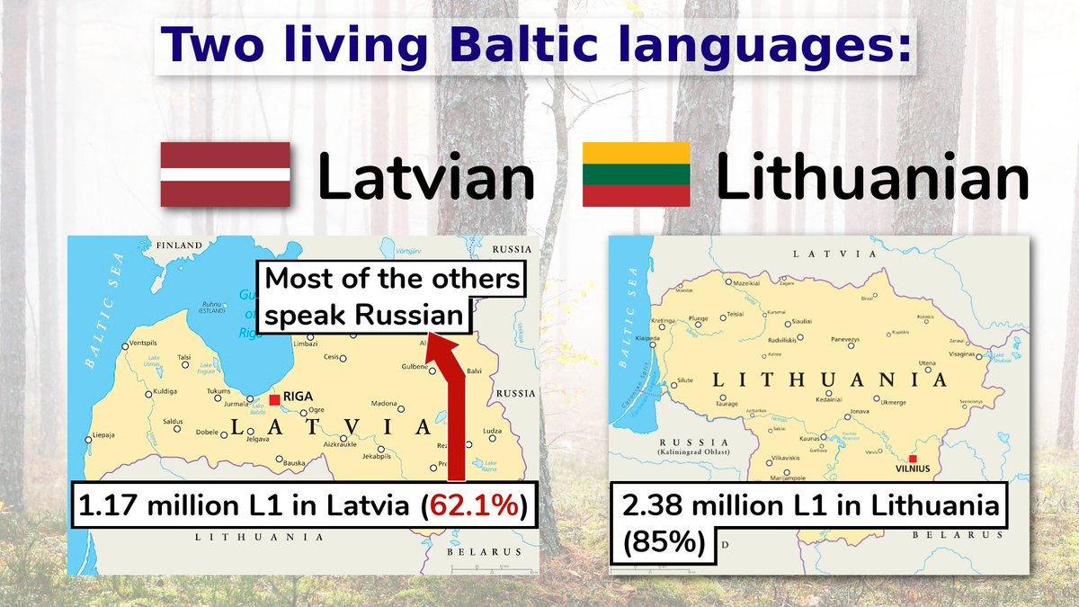 Langfocus Paul 🪬 tweet media
