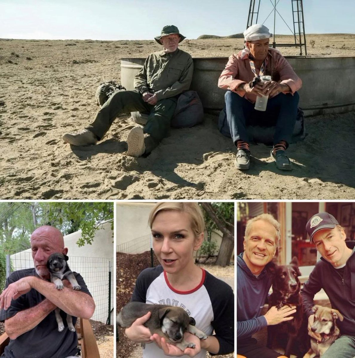 🔎 CURIOSIDADE | Durante as filmagens do episódio "Bagman" (A Mula) de 'Better Call Saul', algo realmente emocionante aconteceu, um daqueles raros momentos dos bastidores que podem restaurar a sua fé na humanidade.

Enquanto filmavam no deserto escaldante na Reserva Hajiilee, uma
