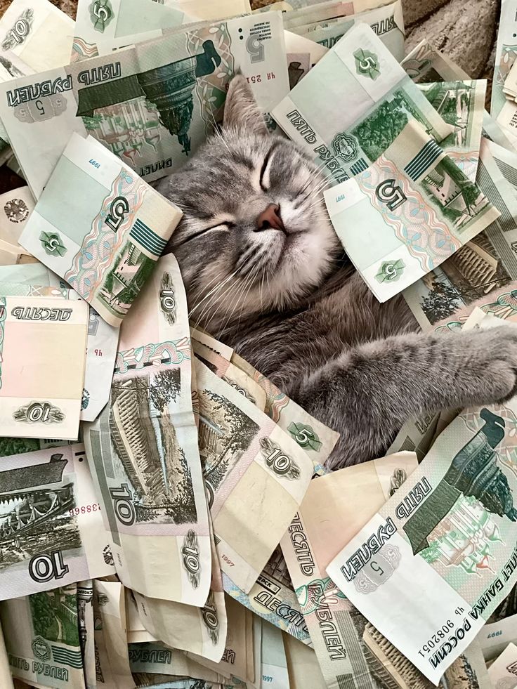 이 글 알티하믄,
3월 내내 돈벼락 맞음
🤑부자 되세요 레이디들🤑