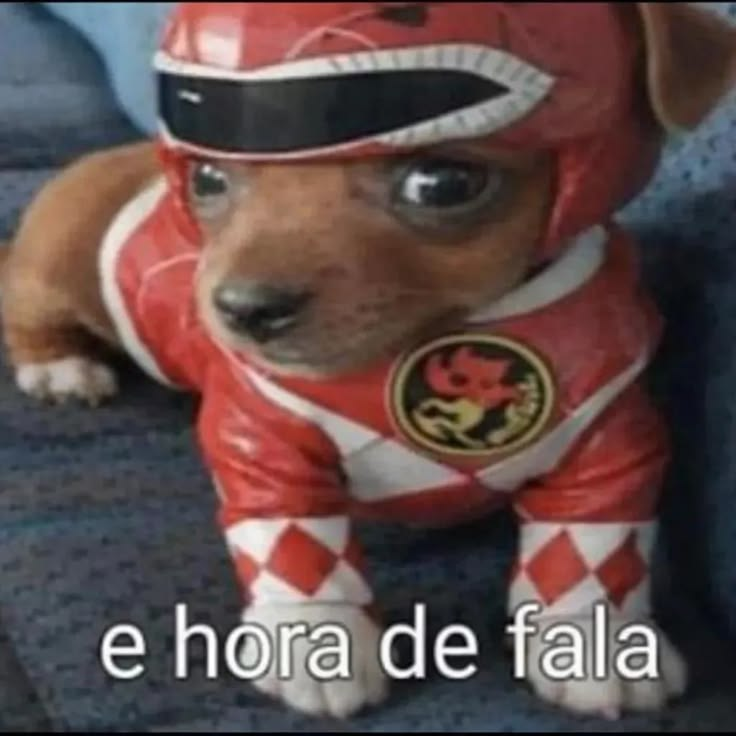 pingandosangue's tweet photo. simplesmente obcecada nas variantes do cachorrinho oi posso fala https://t.co/caBaF0bOsf