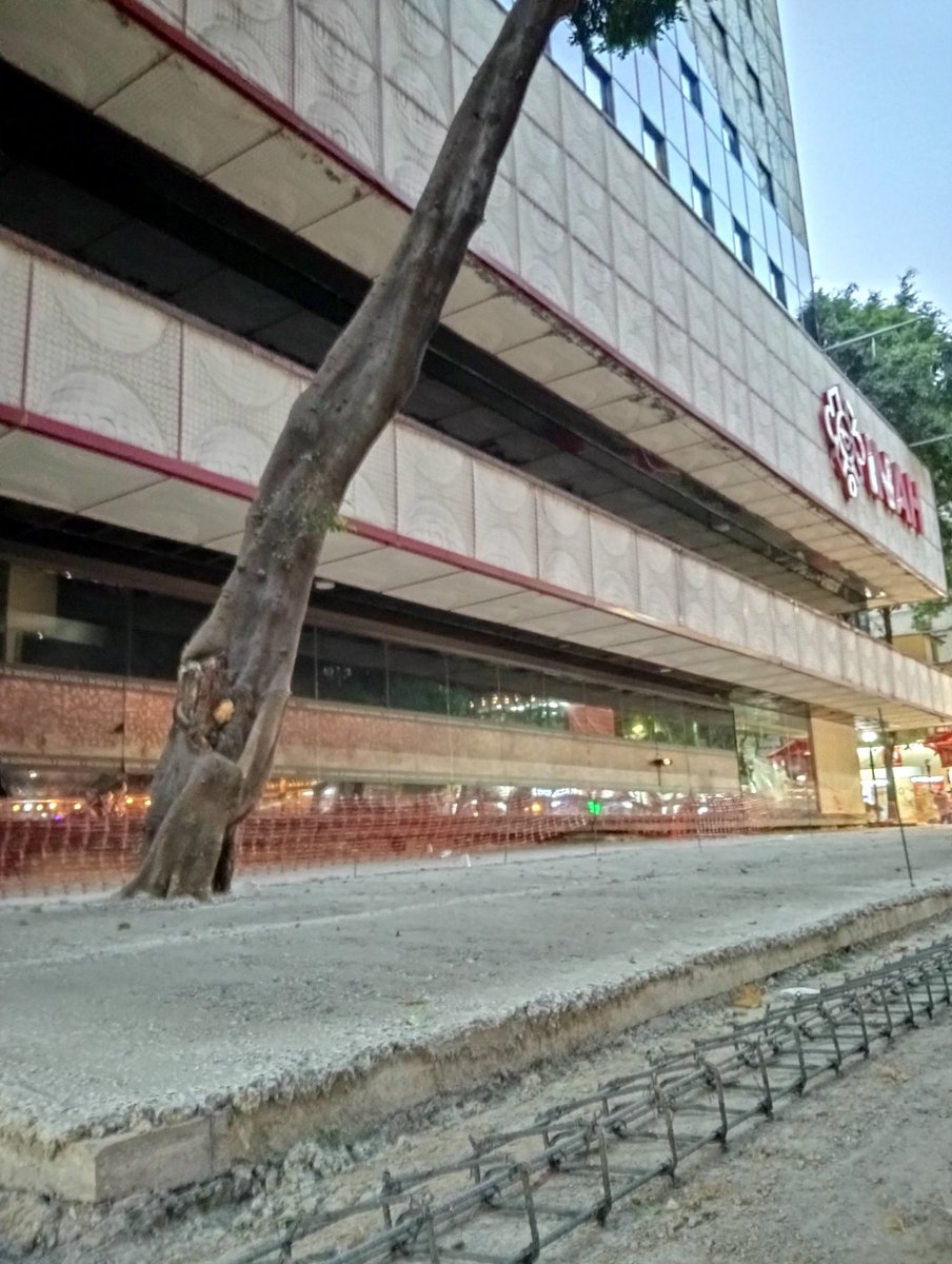 La Colonia Juárez tweet media