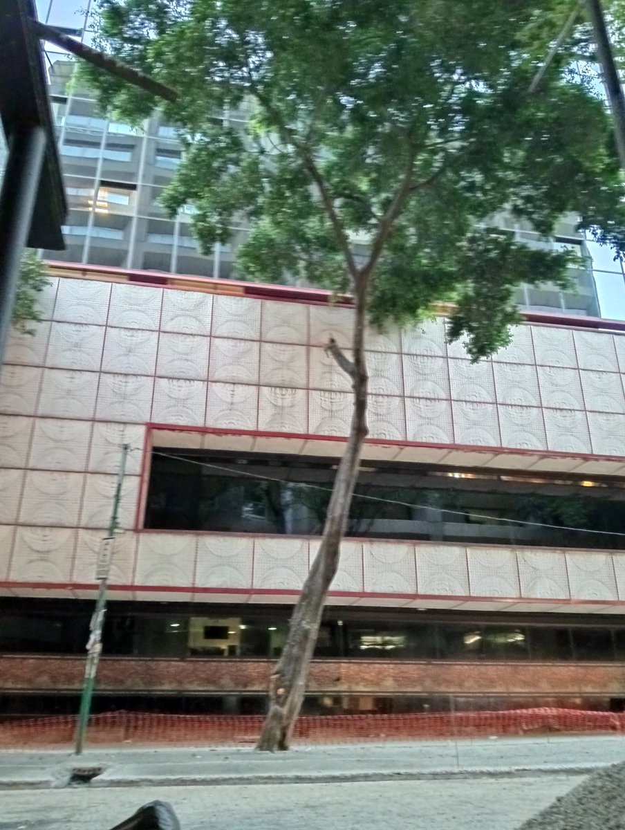 La Colonia Juárez tweet media