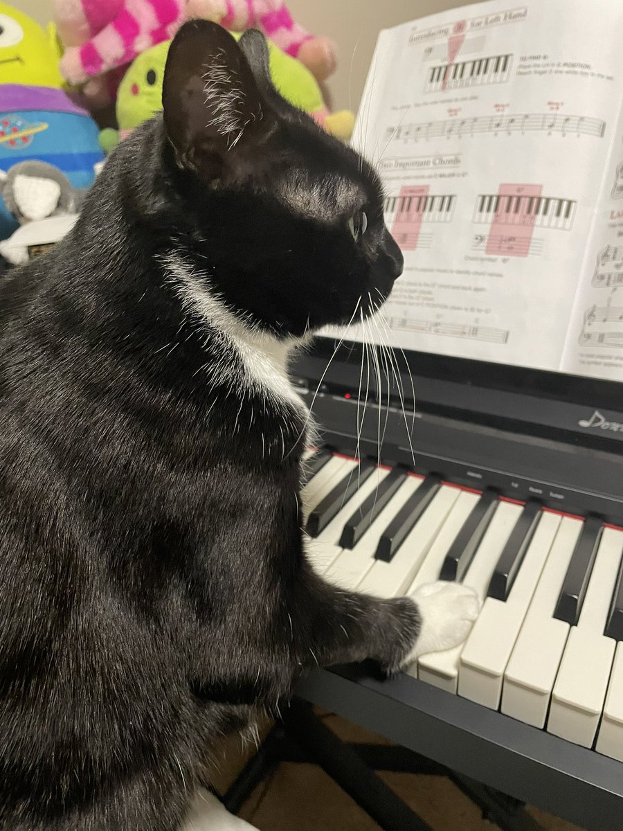 Andracula 🩸 tweet media