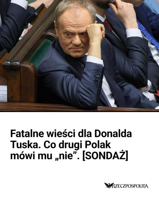 Stefan Przeździecki 🇵🇱 tweet media