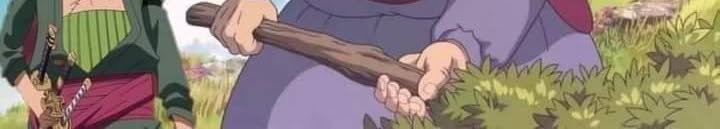 One Piece tweet media
