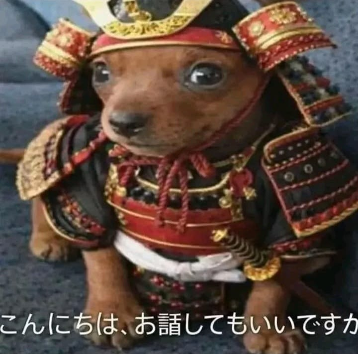 pingandosangue's tweet photo. simplesmente obcecada nas variantes do cachorrinho oi posso fala https://t.co/caBaF0bOsf
