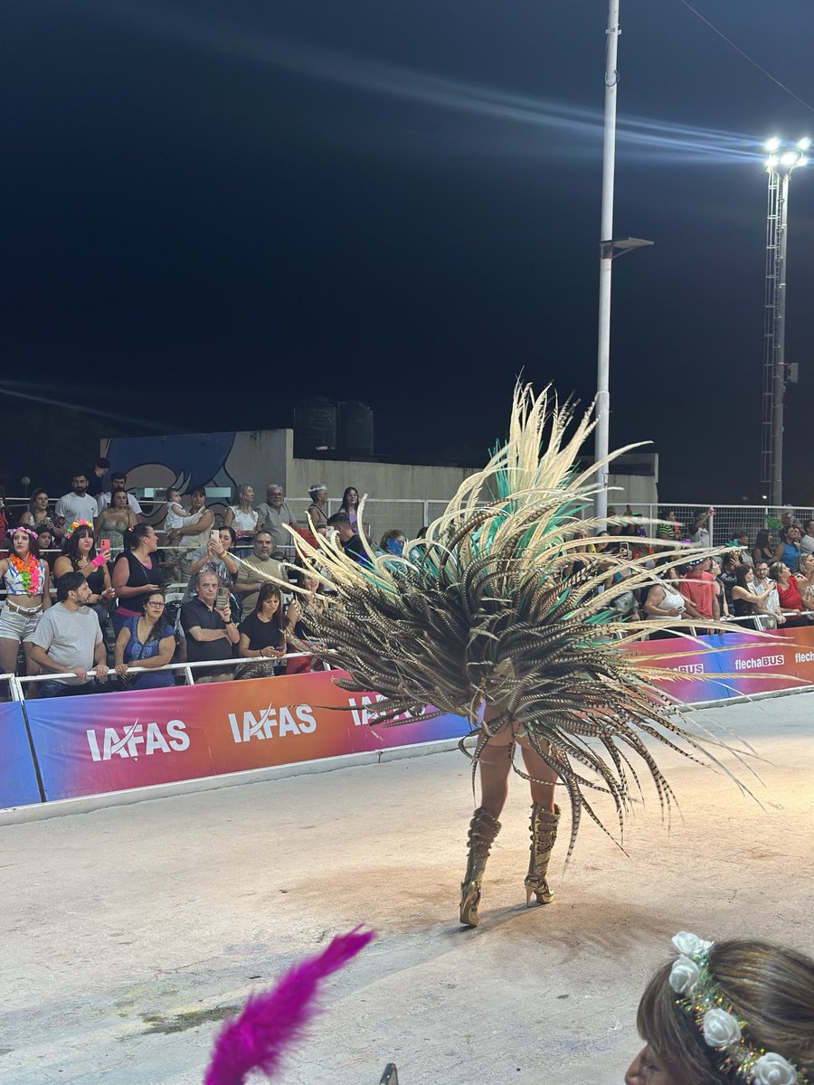 Dario Colombatto tweet media