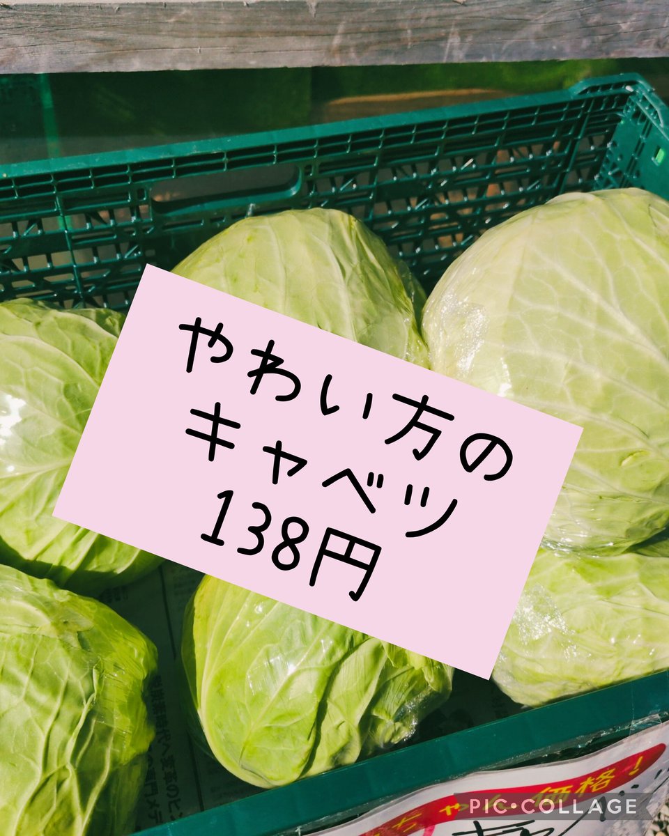 2026/03/02 おはようございます😊☀ 今週もよろしくお願いします