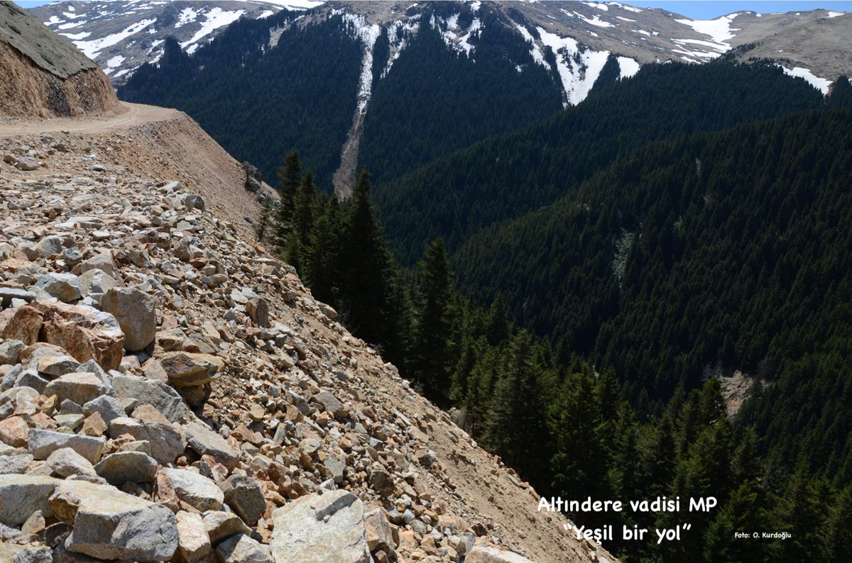 Oğuz Kurdoğlu tweet media