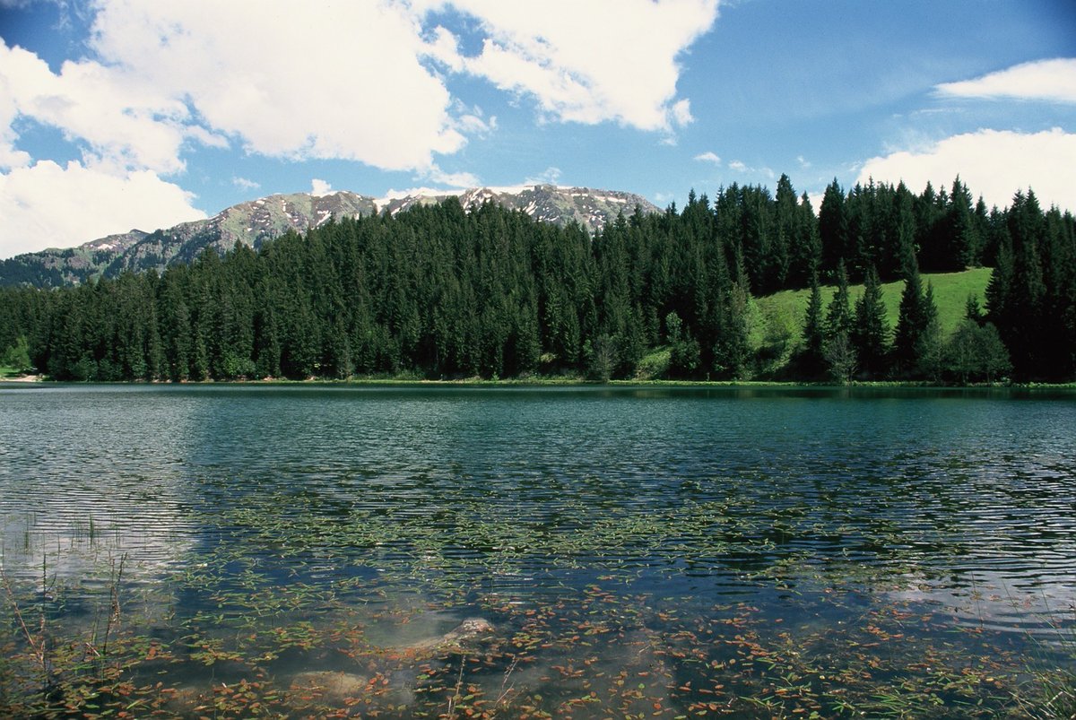 Oğuz Kurdoğlu tweet media