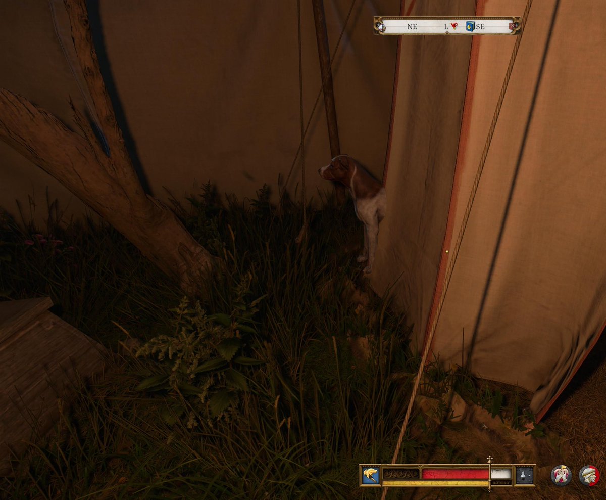 Warper 🪐 tweet media