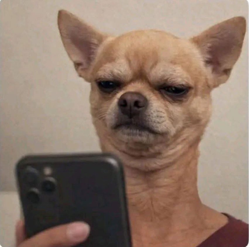 Reaction Image Archive tweet media