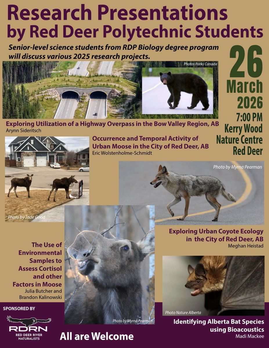 You are all invited to the RDRN March Monthly Meeting Speaker Series
RDRN once again welcomes senior RDP students to present summaries of their research projects.
When: March 26, 2026 7:00 p.m. to 9:00 p.m.
Where: Held at the Kerry Wood Nature Centre, 6300 45 Ave, Red Deer, AB