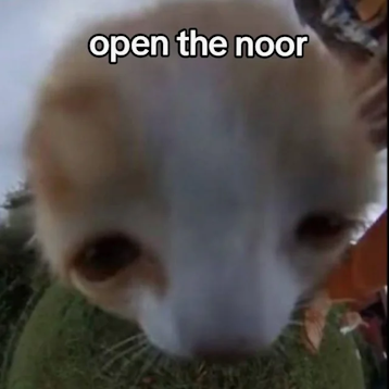 PRIDE/FRIGHTFUR (TEKKO 2025) tweet media