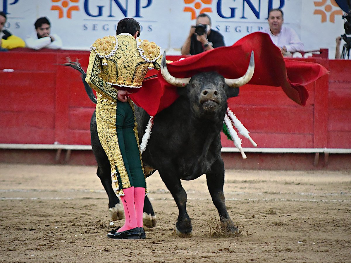 Emilio de Justo tweet media