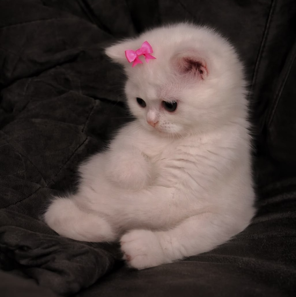 She's pondering