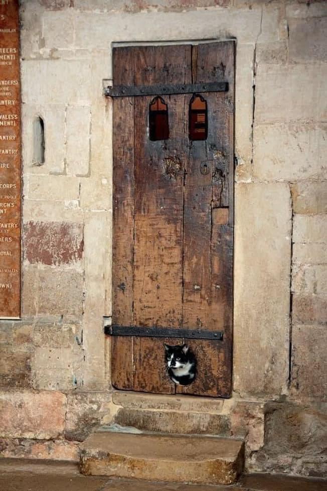 At over 400 years old, this door at Exeter Cathedral is thought to have the oldest surviving cat flap.