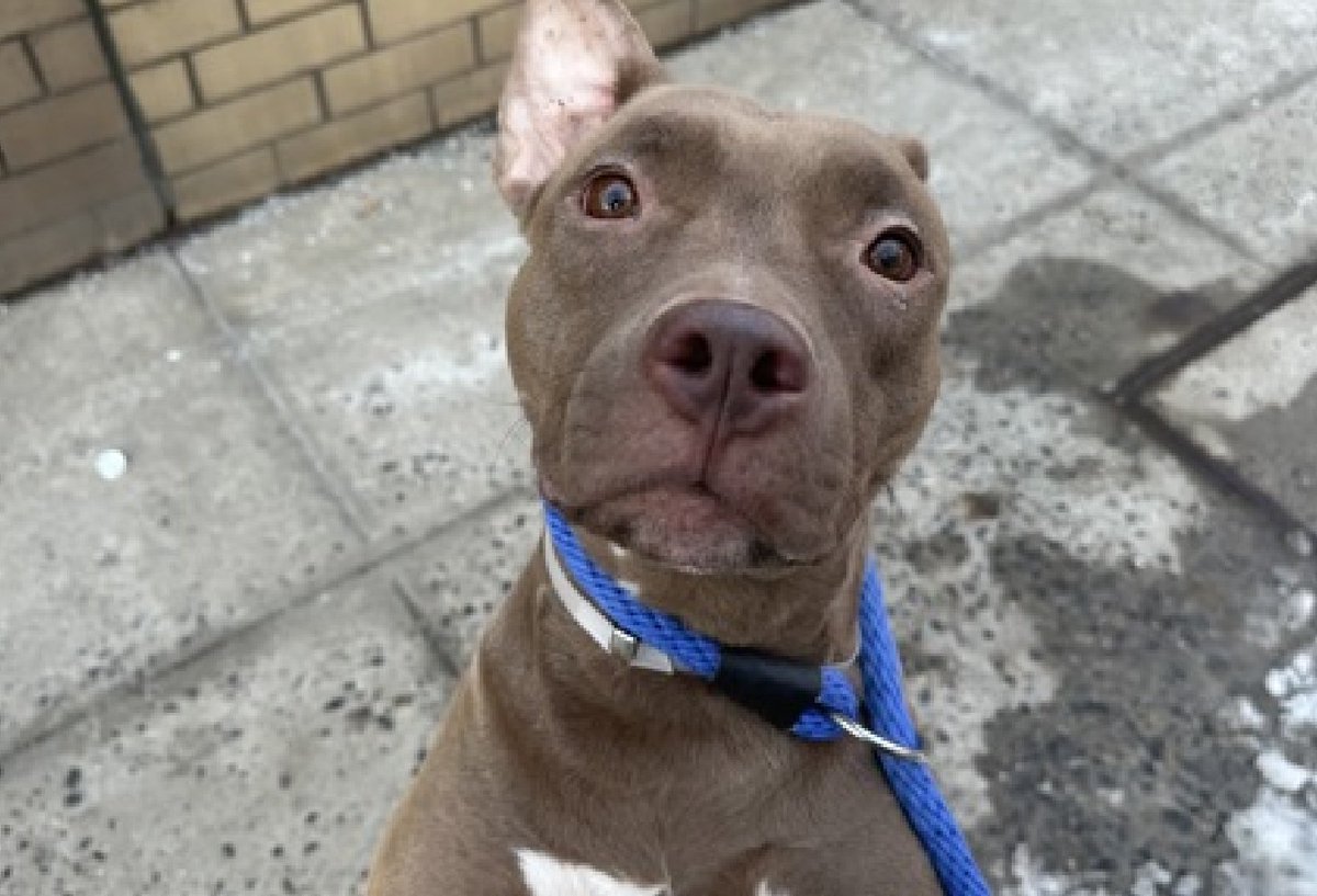 Not the Same tweet media