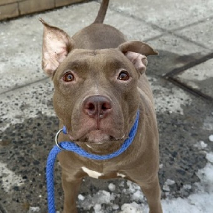 Not the Same tweet media