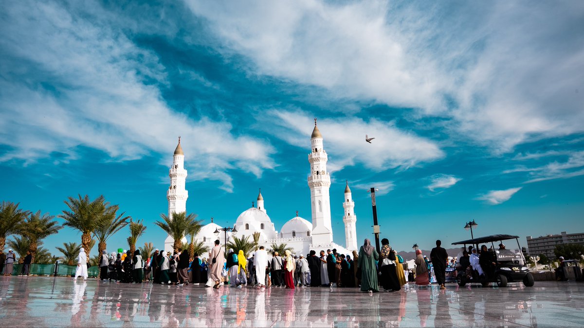 B D R A N tweet media