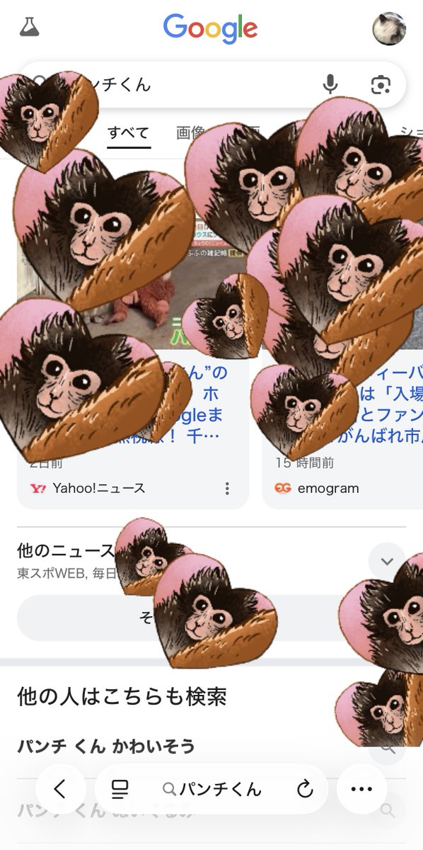 🧸‎かなた🧸【広島県産歌舞伎町ホスト→内勤】 tweet media