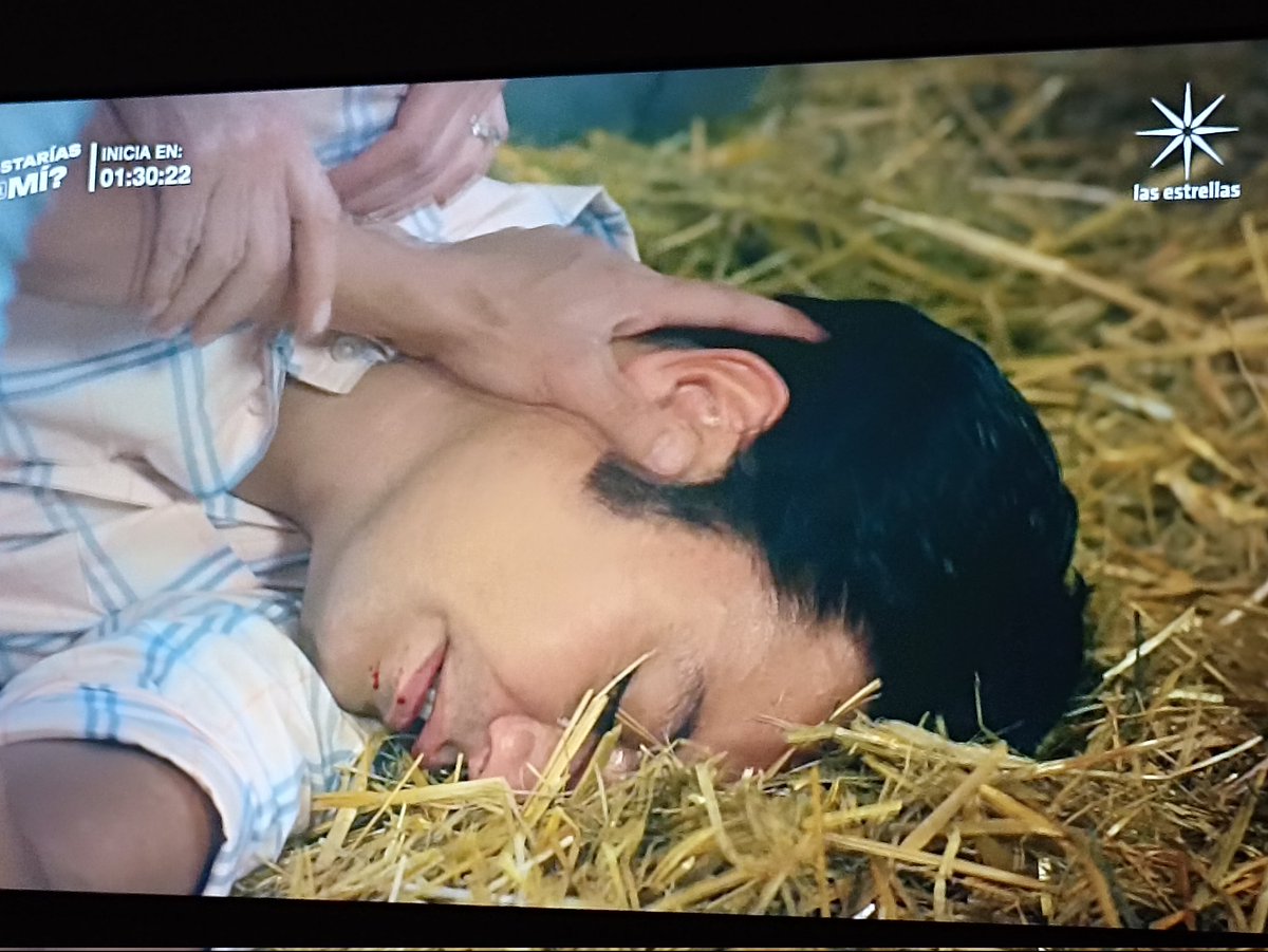 fansandrespalacios tweet media