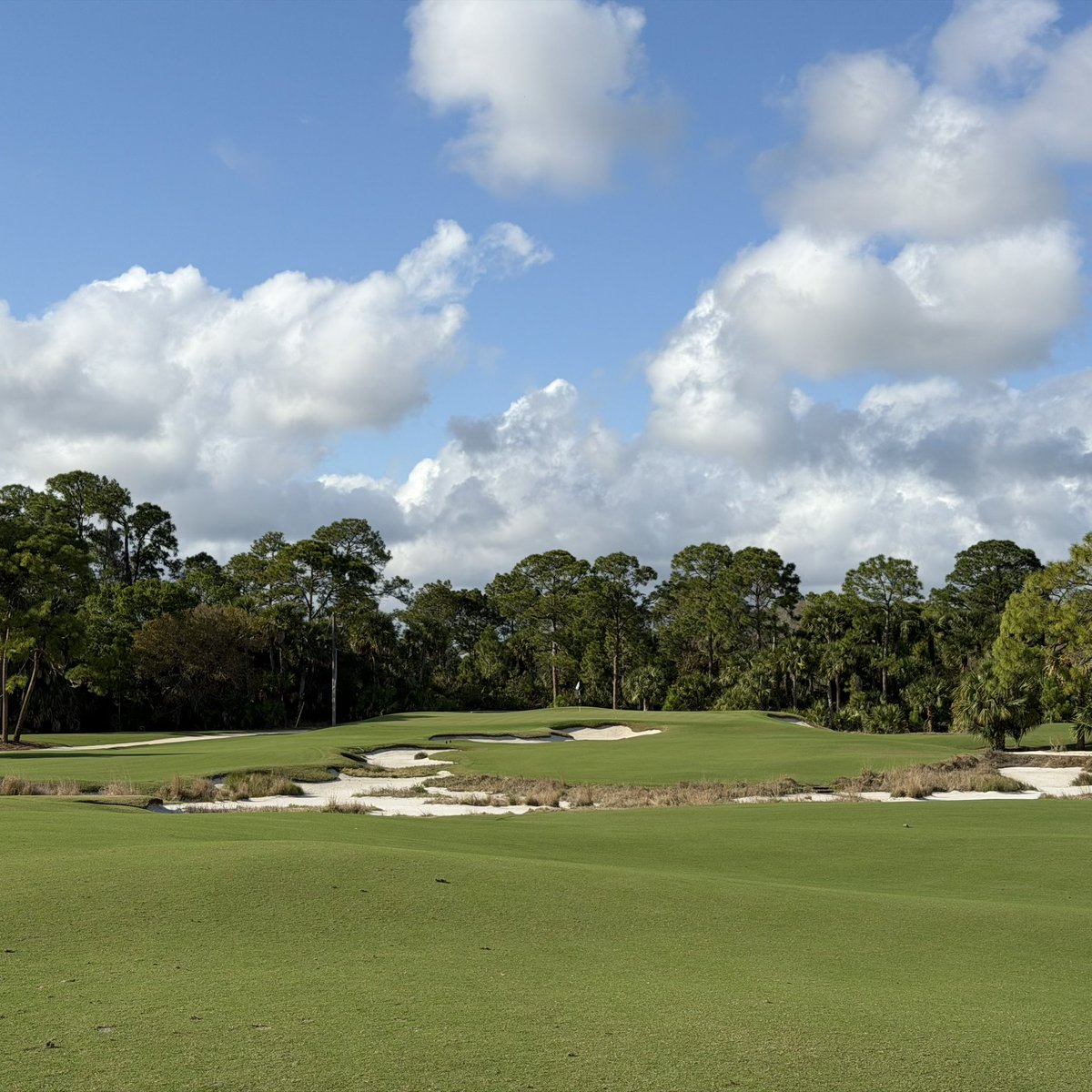 The Russian tweet media