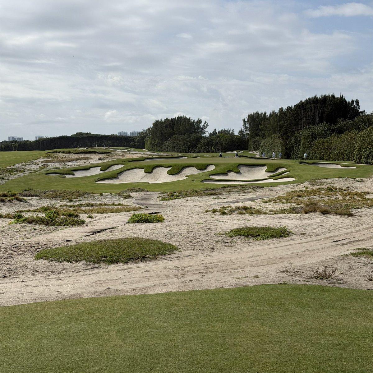 The Russian tweet media