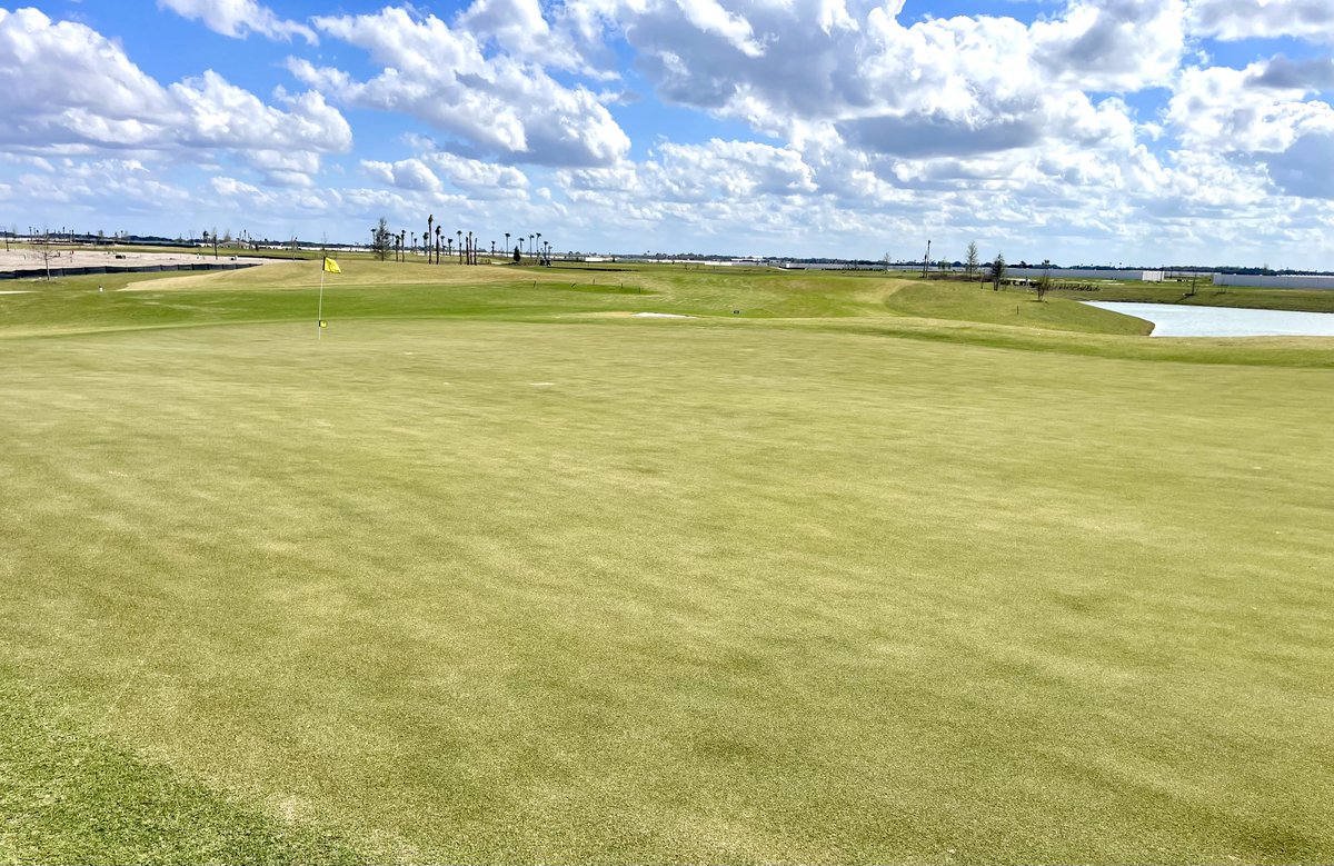 inpursuitof1000's tweet image. #997- Honeysuckle Executive 9, 2026 Clifton design in The Villages, FL. Similar design to the previous sister course. Large, undulating, greens. #2 the only par 4 but one of the better ones I’ve played on an exec. #3, 4, and 9 playing over one of several ponds interesting. BLUE-