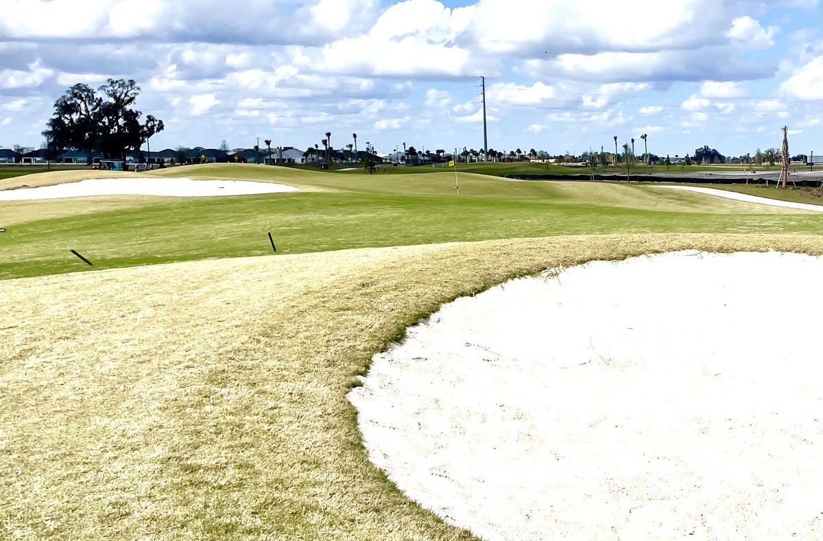 inpursuitof1000's tweet image. #997- Honeysuckle Executive 9, 2026 Clifton design in The Villages, FL. Similar design to the previous sister course. Large, undulating, greens. #2 the only par 4 but one of the better ones I’ve played on an exec. #3, 4, and 9 playing over one of several ponds interesting. BLUE-