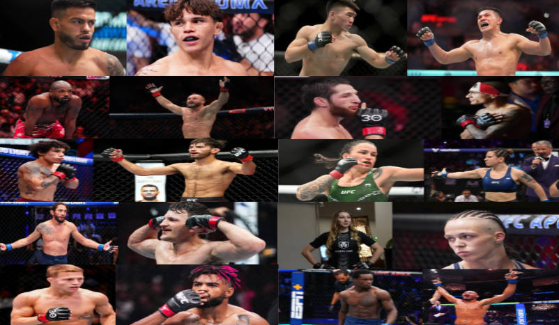 RX_MMA_06's tweet image. 10 Fight Ideas After UFC Mexico

Royval Vs Kavanagh

Yadong Vs Martinez

Green Vs Rebecki

Ulanbekov Vs Chairez

Rodriguez Vs Schnell

Pennington Vs Perez

Reyes Vs Jenkins

Tarin Vs Bleda

Marshall Vs Charriere

Pinas Vs Santos