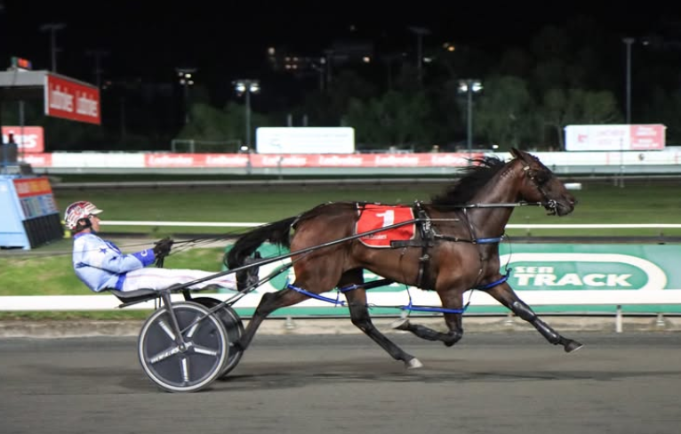 Northern Rivers Equine & Llowalong Farms tweet media