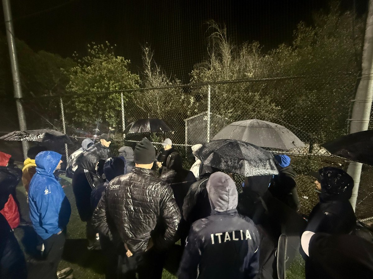 Frans Hoek. tweet media