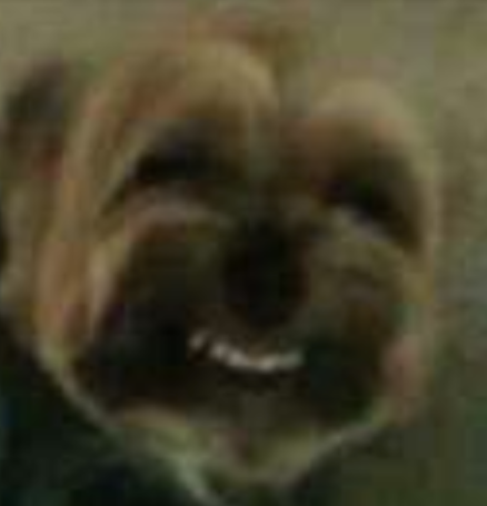 bristlefight edgemaster tweet media