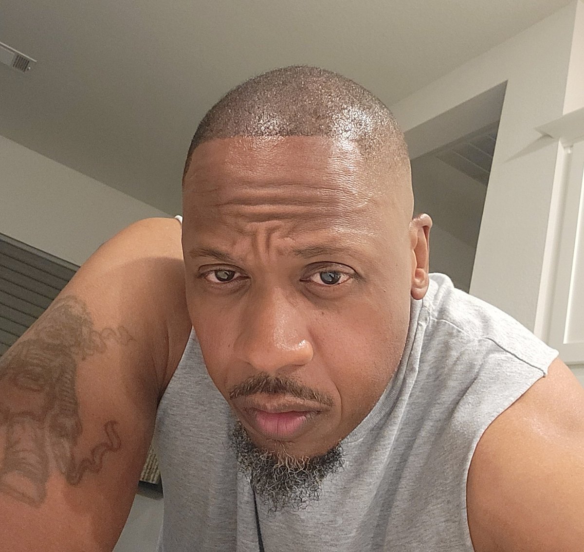 Mr. Wholebean tweet media