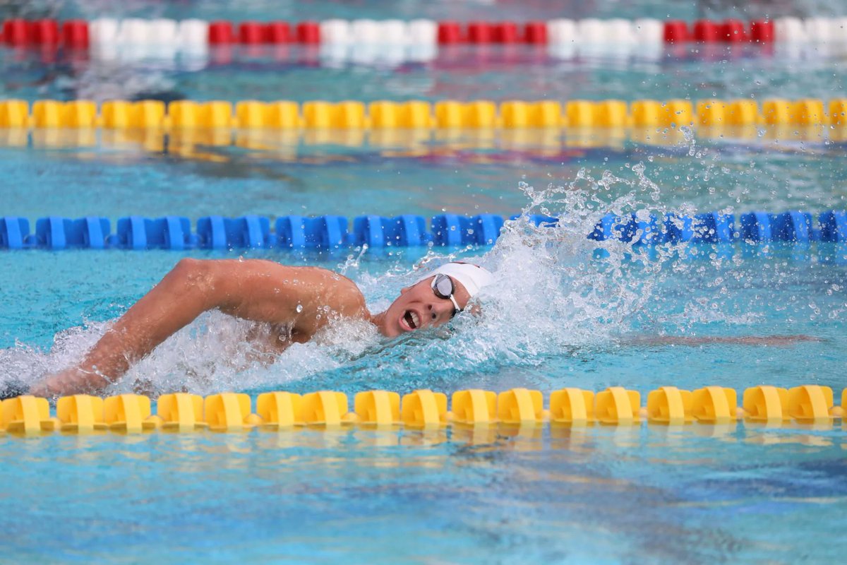 Kyle Sockwell tweet media