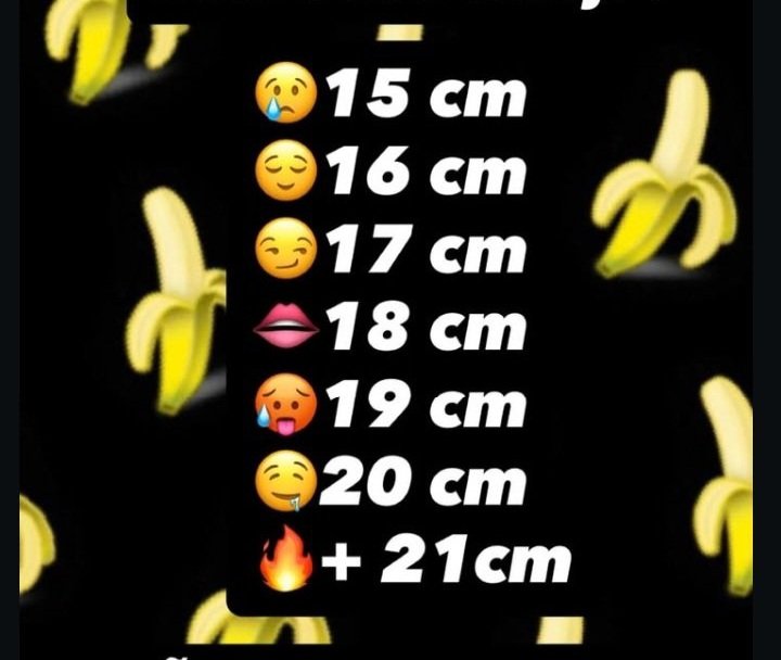 vivismor tweet media