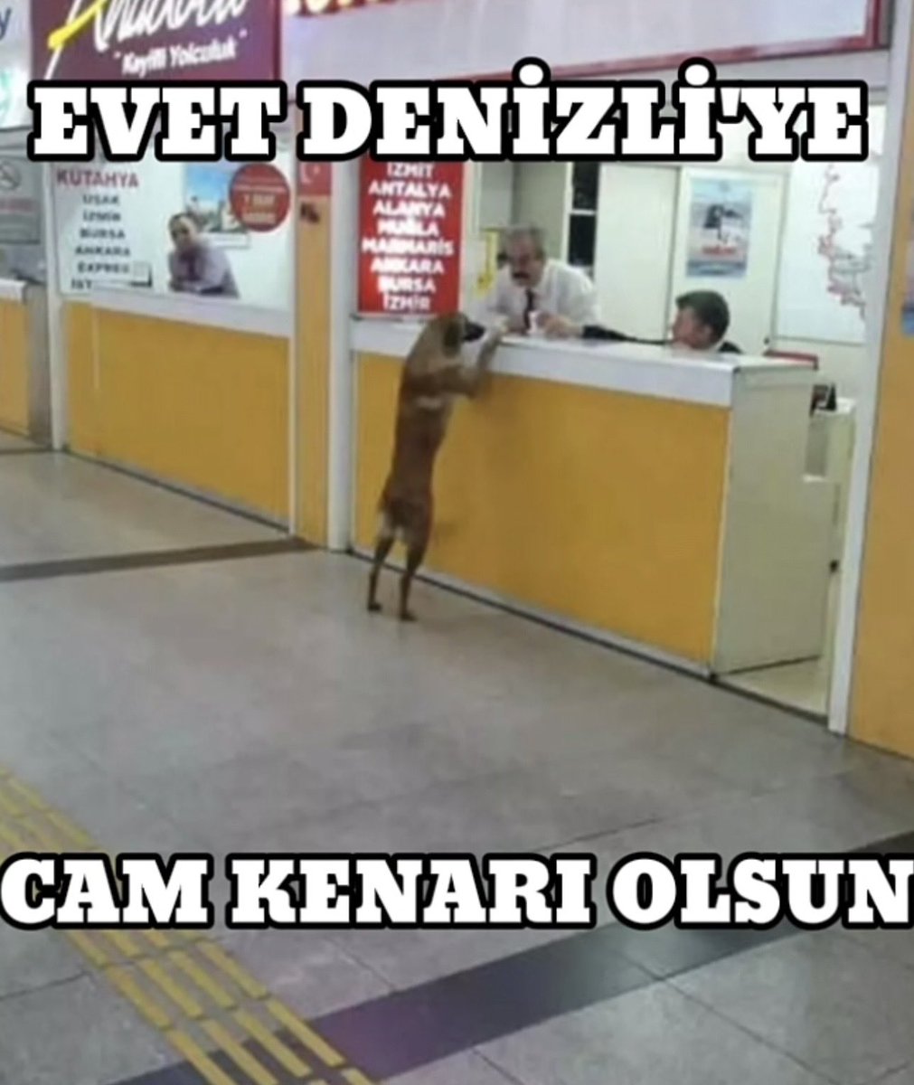 Hasanzcanli1's tweet photo. Bekle beni denizlim 2 ay kaldı geliyom https://t.co/pI8U7scm1u