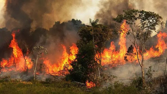 El 1 de marzo de 2026, #Venezuela mantiene desplegado el Sistema de Gestión de Riesgo para combatir incendios forestales. Controlaron siniestros en Waraira Repano y Macarao, aunque permanece activo uno en la Autopista Regional del Centro, afectando parques nacionales.

#teenage