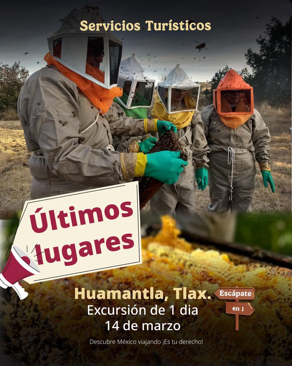 M1️⃣ 2️⃣ 3️⃣… ¡y nos vamos! 🐝🍯

Descubre la Ruta de la Miel: tradición, naturaleza y sabores únicos en un recorrido que no te puedes perder. ✨

📍 Sábado 14 de marzo

¿Te sumas?
📩 Aparta tu lugar con nosotros. #TeAsesoramos