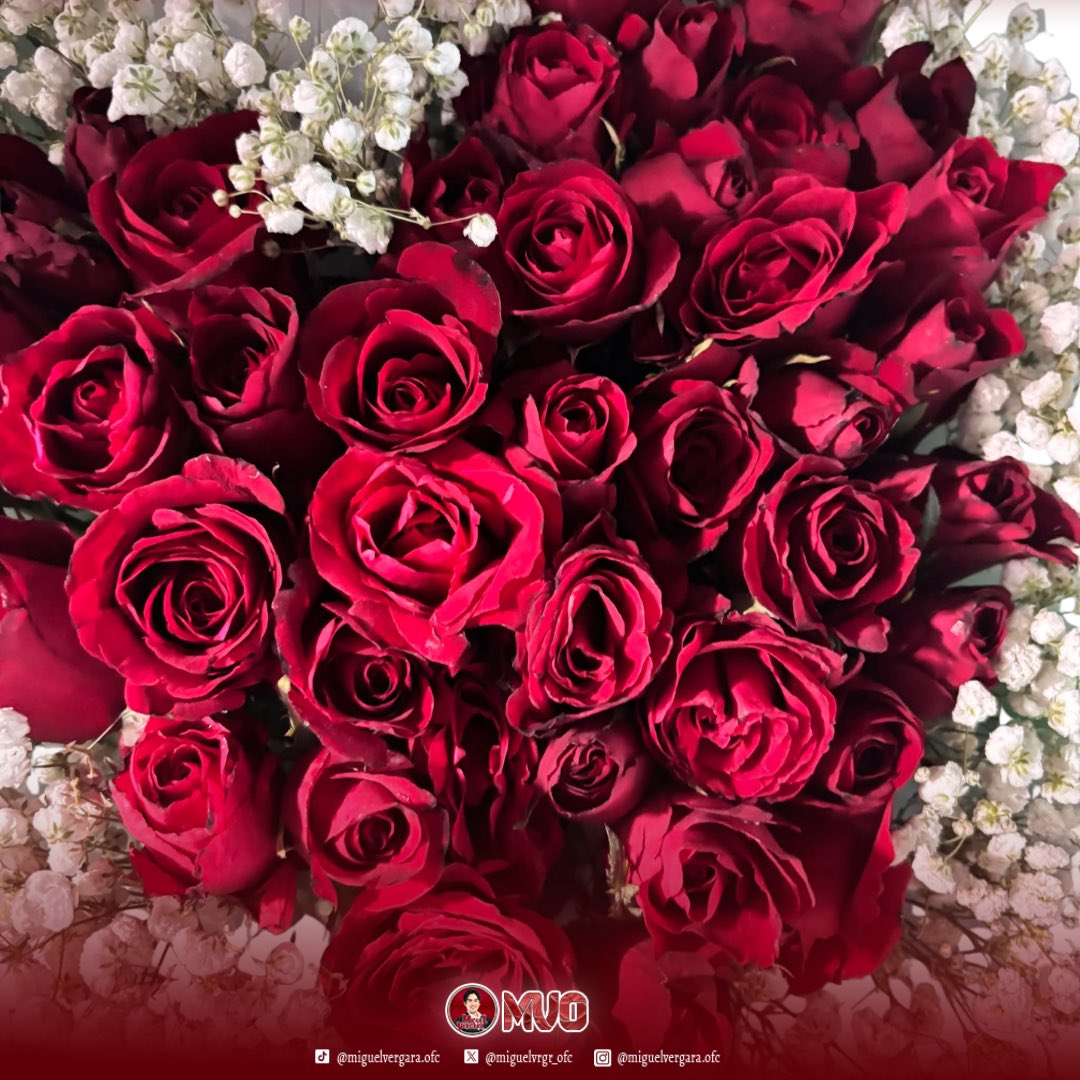 𝗕𝗢𝗨𝗤𝗨𝗘𝗧 𝗙𝗢𝗥 𝗠𝗜𝗚𝗨𝗘𝗟

Every journey has a story, and yours is one that we will always carry with pride. ✨

𝗖𝗼𝗻𝗴𝗿𝗮𝘁𝘂𝗹𝗮𝘁𝗶𝗼𝗻𝘀, 𝗠𝗶𝗴𝘂𝗲𝗹! Watching you inside the PBB house was such a meaningful experience for all of us. You showed courage in