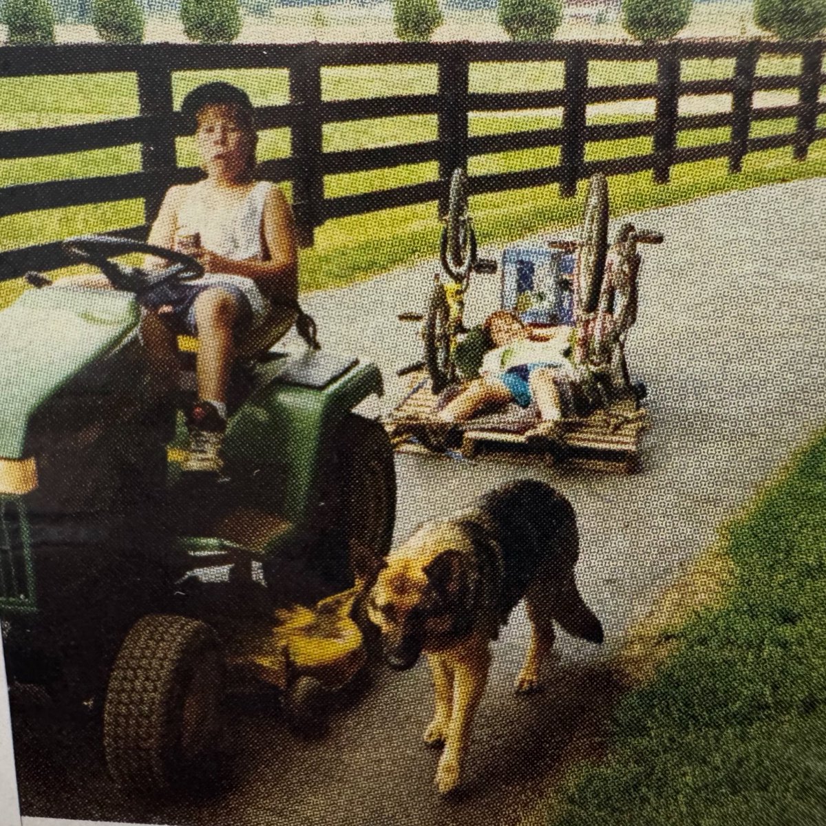 roger hayden tweet media