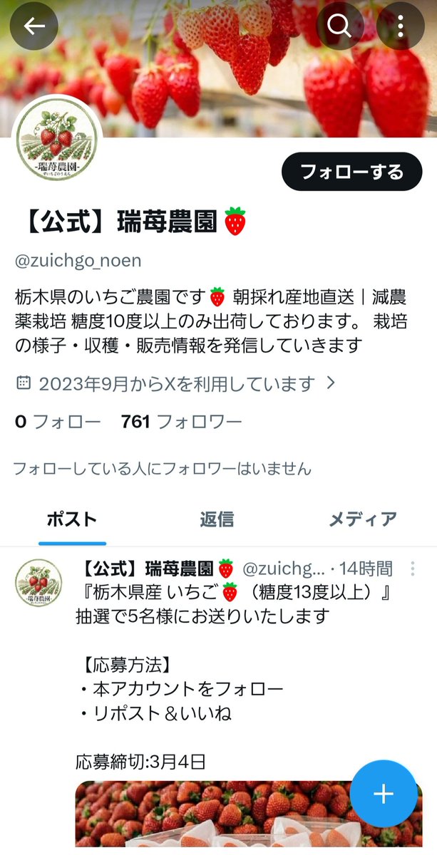 シュウ@ tweet media