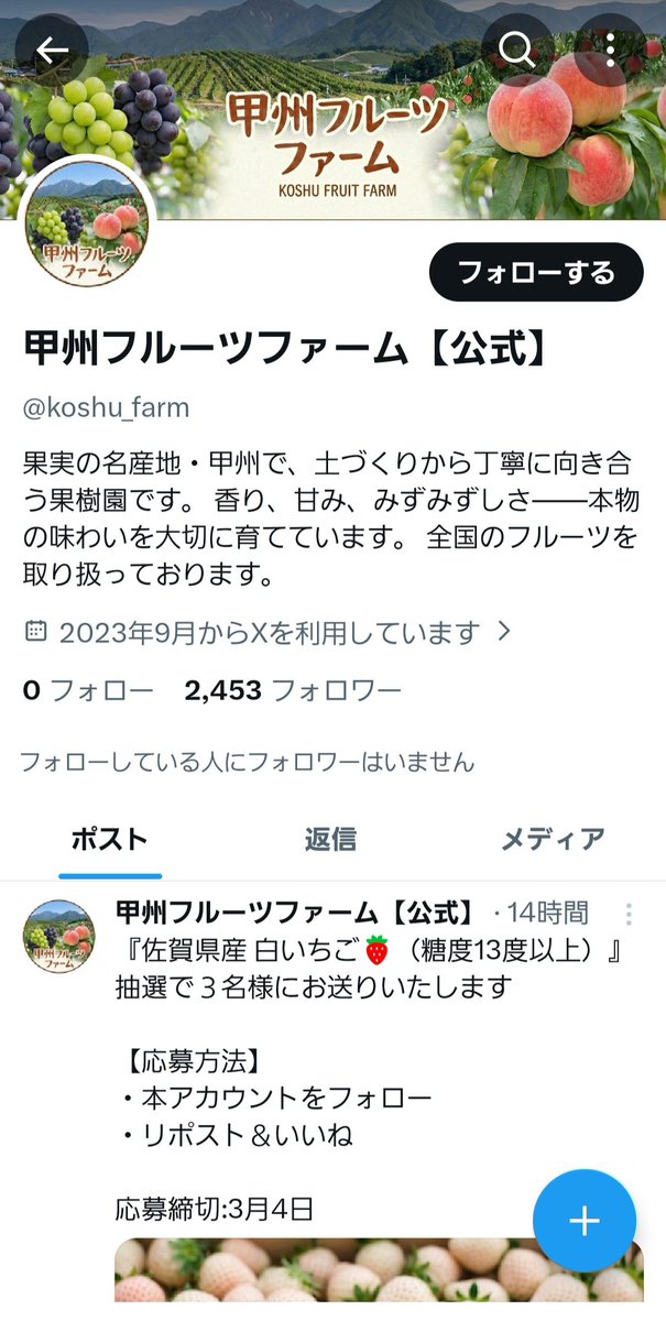 シュウ@ tweet media