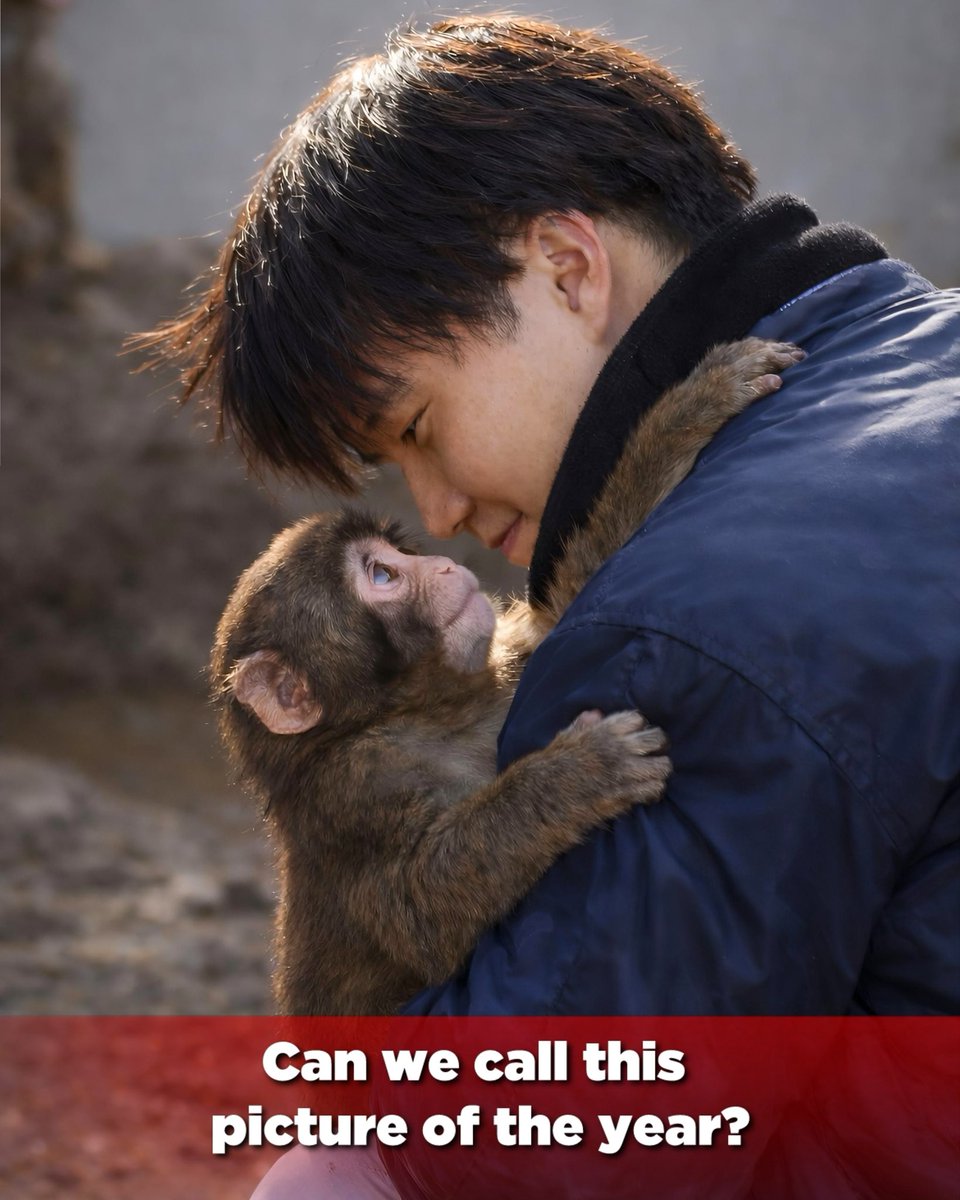 Fnan Man tweet media