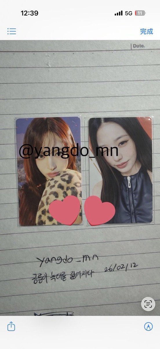 공룡이 늑대를 짊어지다 tweet media