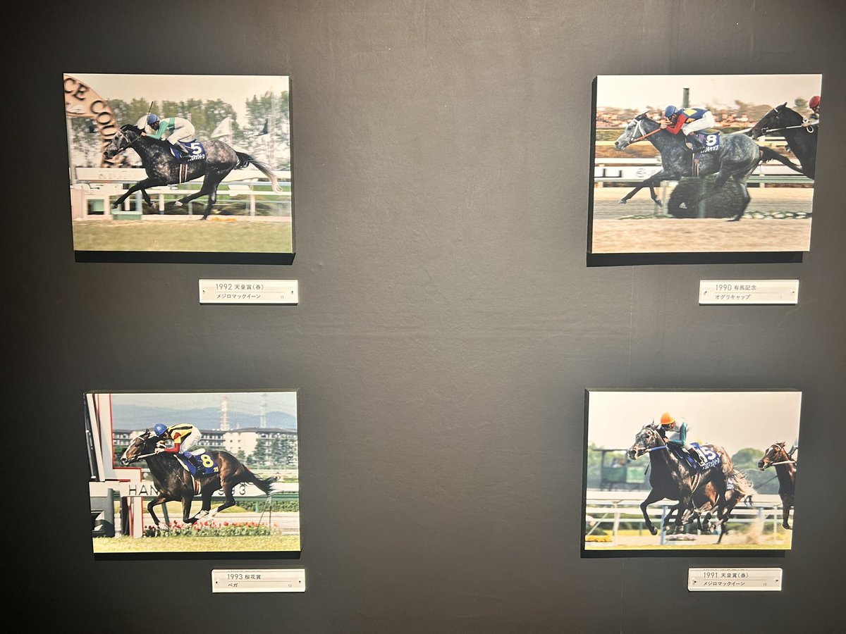 G1全84勝レースのゴール前映像集凄い🤩 私が競馬を見出したのはメジロ