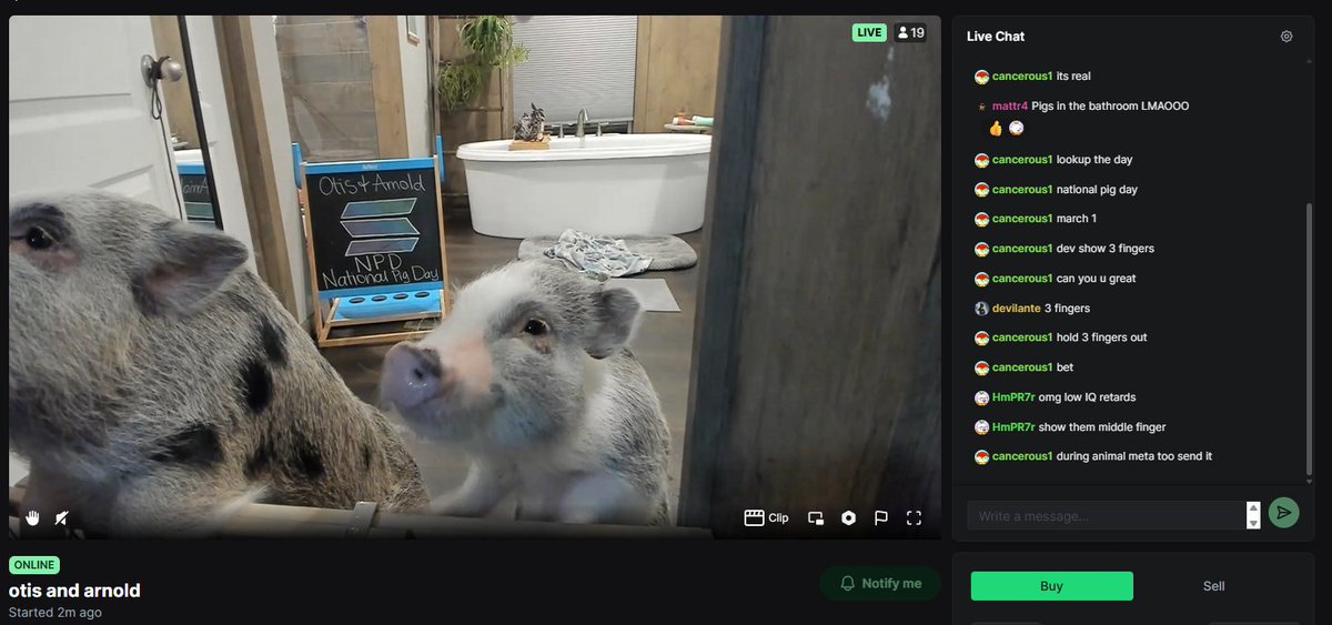 Poohveloper tweet media