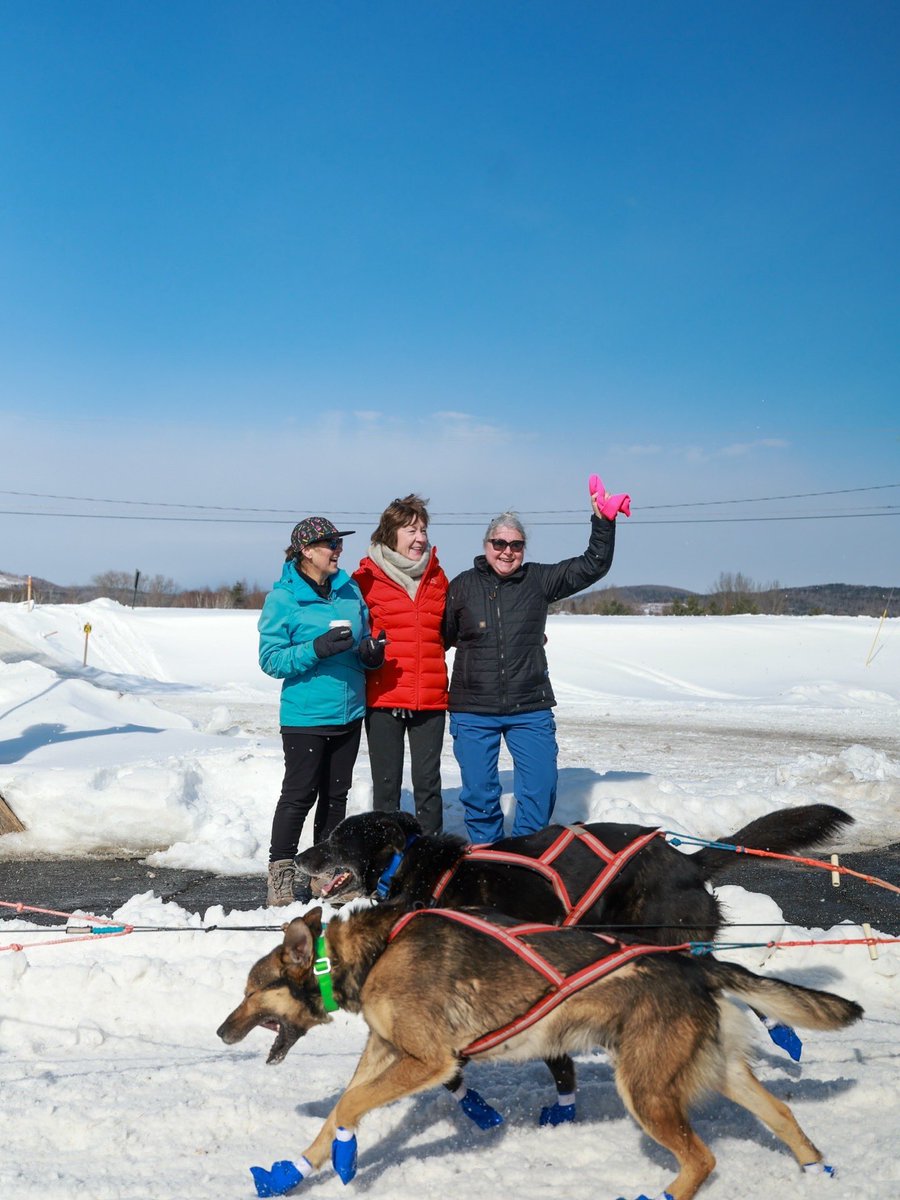 Sen. Susan Collins tweet media