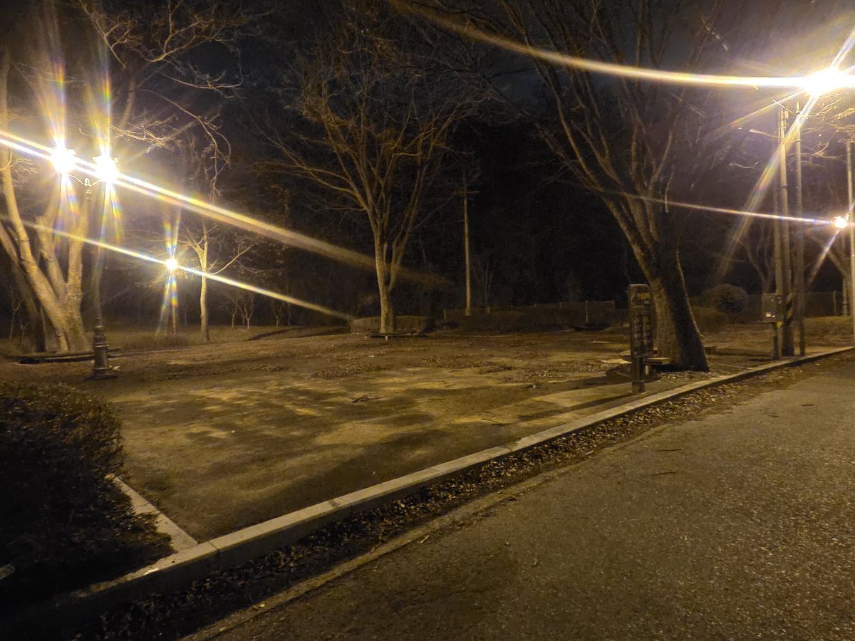 지보나보지 tweet media